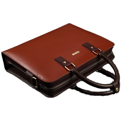 Stylish Business Crossbody Bag for Lawyers and Professionals