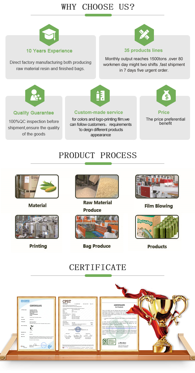 Our Services