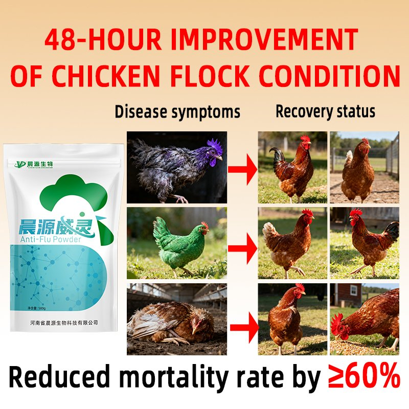Chenyuan Weiling Poultry Viral Disease Solution Cures &amp; Prevents, Rapid Recovery