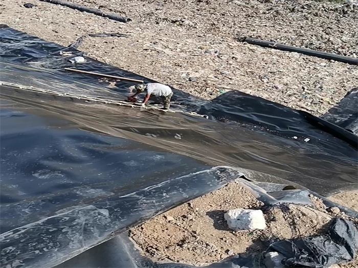 1mm HDPE Geomembrane: Cost-Effective Solution for Environmental Safety