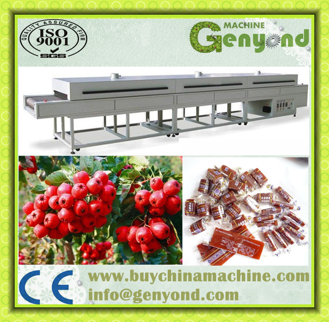 Hot Sale Fruit Leather Production Line From Manufacturer