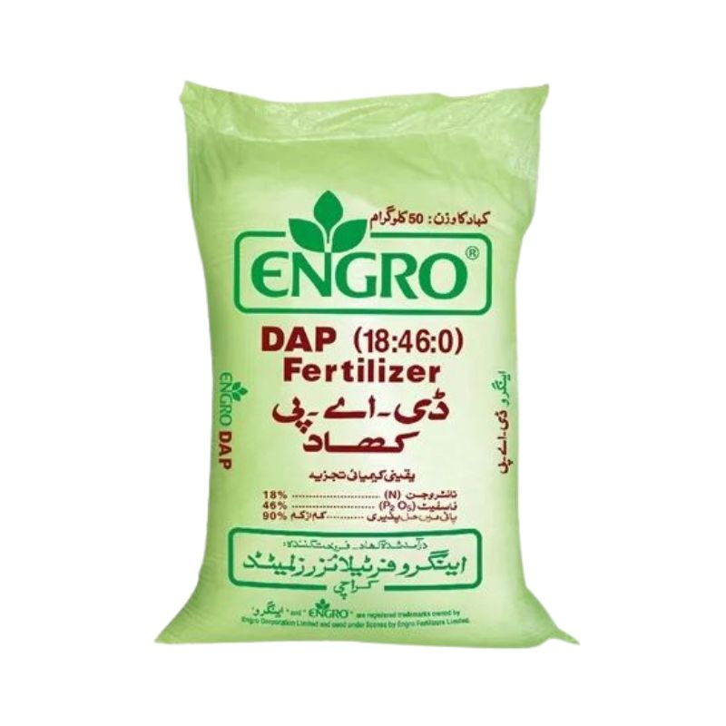 Bio-Degradable Personalized Bags - Wholesale Mylar Solutions for Eco-Friendly Use
