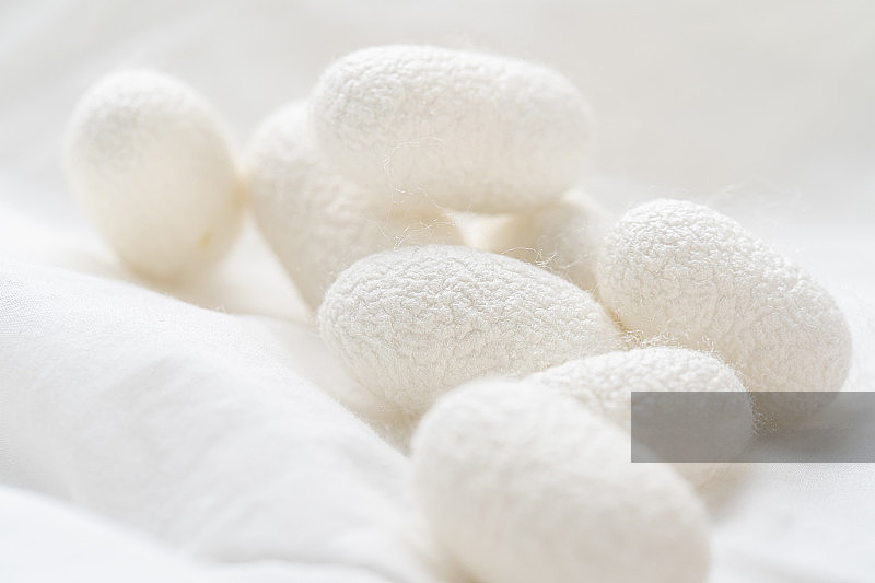 Mulberry Silk Info