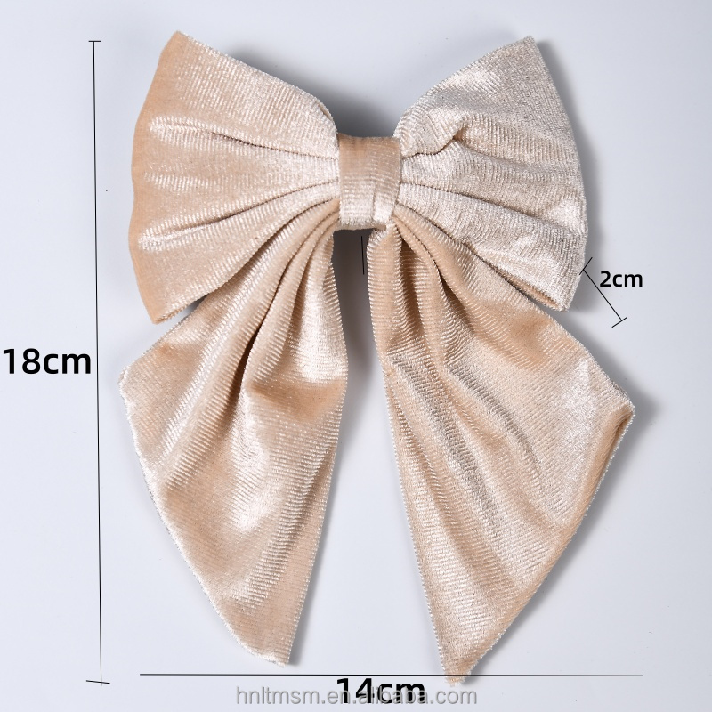 Velvet Bow Hair Clip Detail