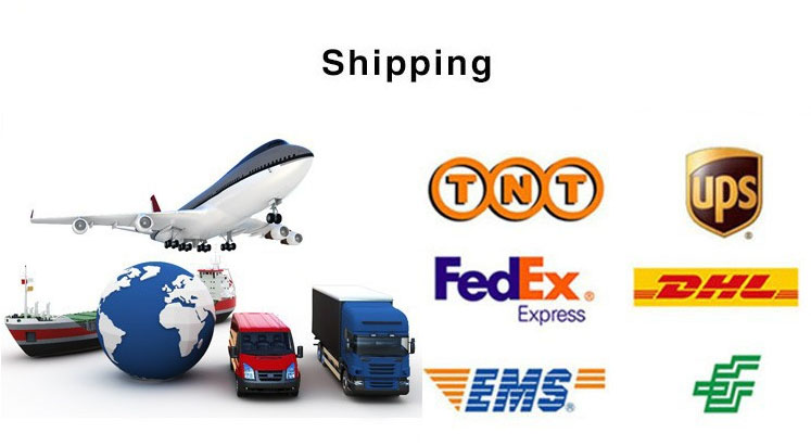 Payment and Shipping Methods