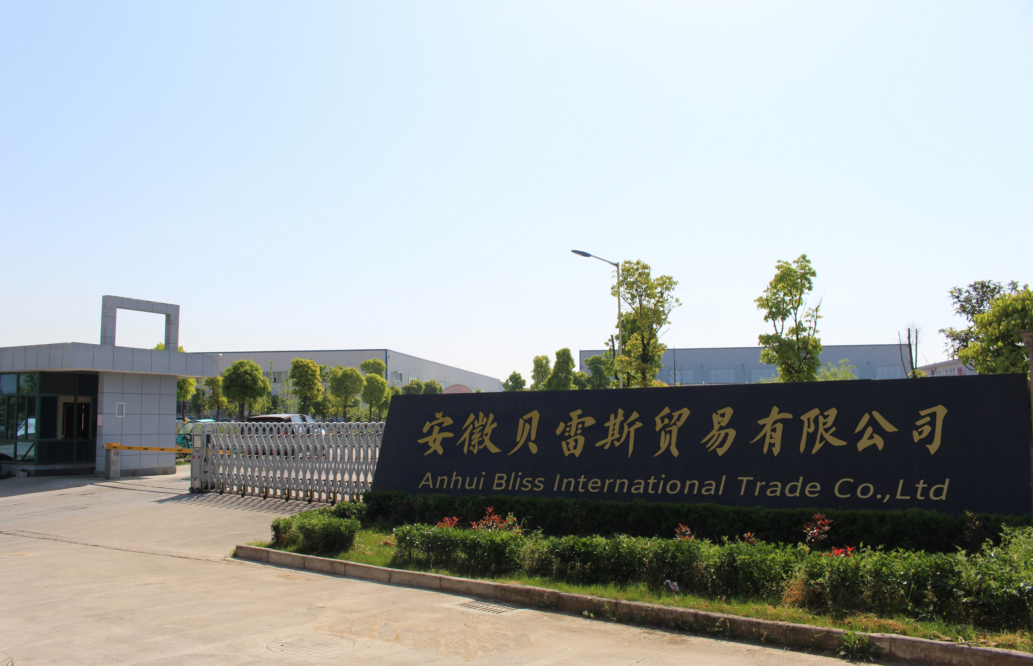 Company Office
