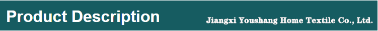 Promotion Banner