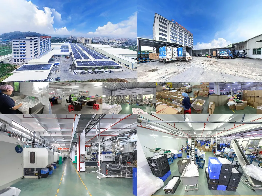 Company overview profile