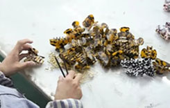 Handmade process