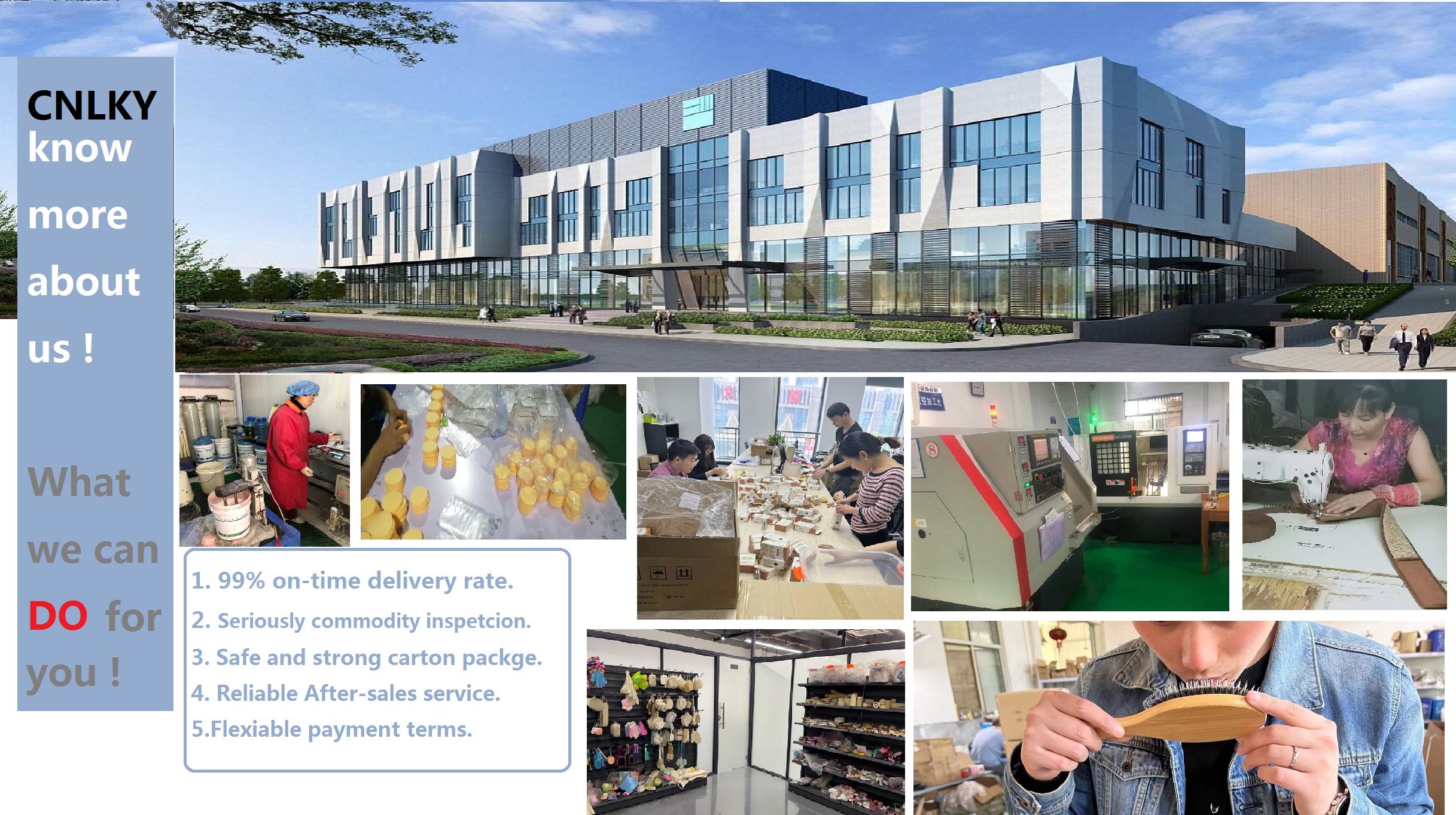Company overview