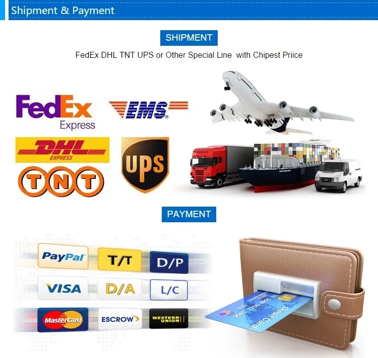 Shipping and Payment Info