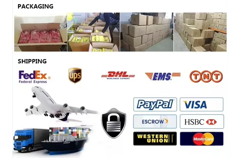 Packaging and Shipping Process