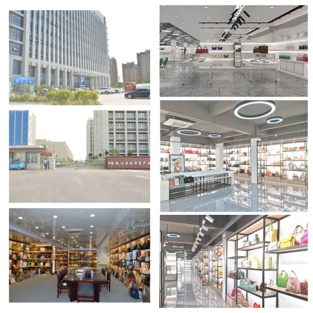 Ladies Chic Shoulder Bag 1