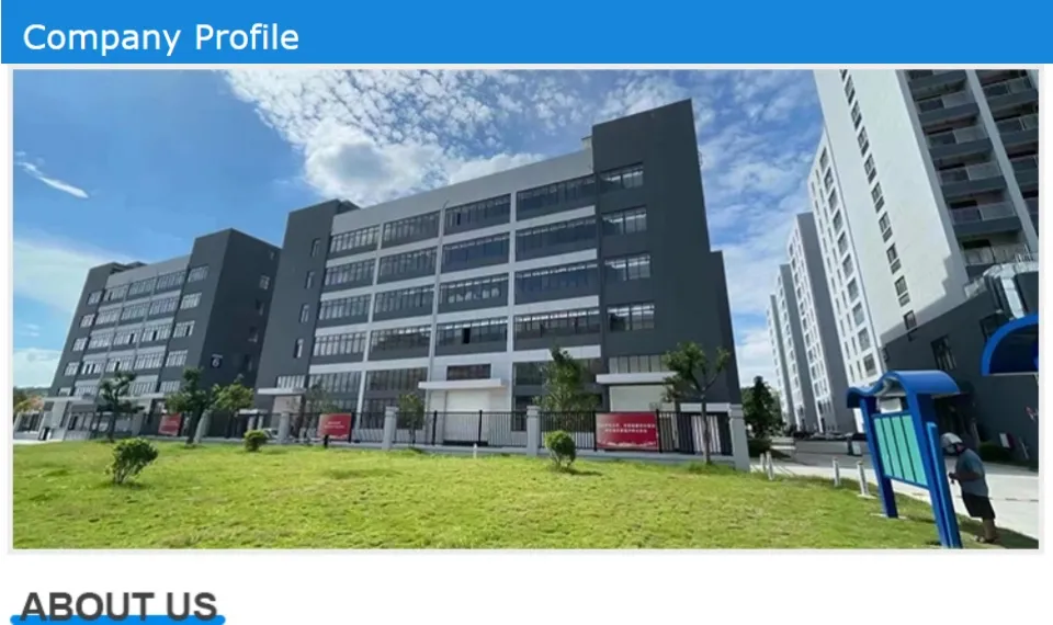 Luxury Handbag Fashion