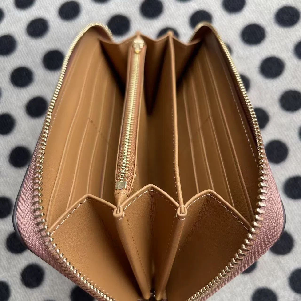 Premium Designer Coin Purse and Clutch for Men and Women