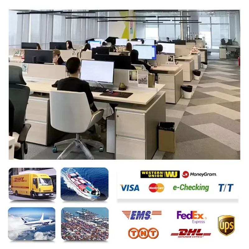 Designer Wallet Collection