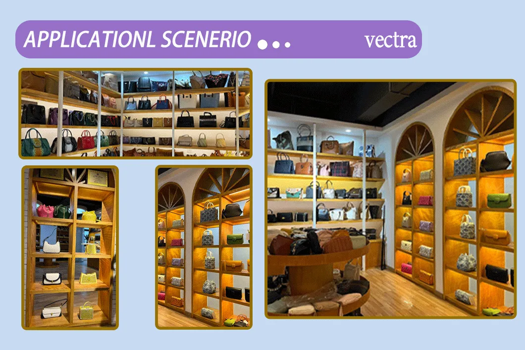 Lady Handbag Overview