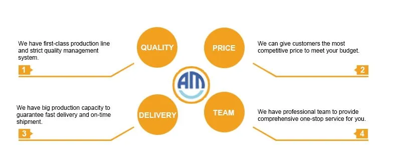 Our core advantages