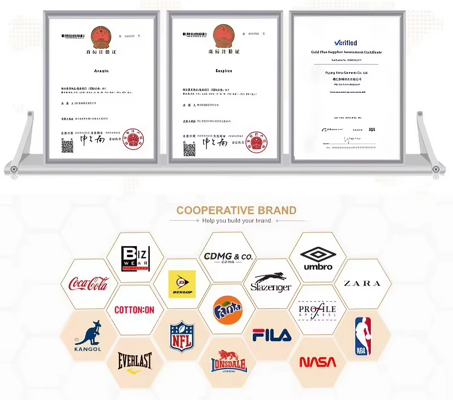 Company Showcase 4