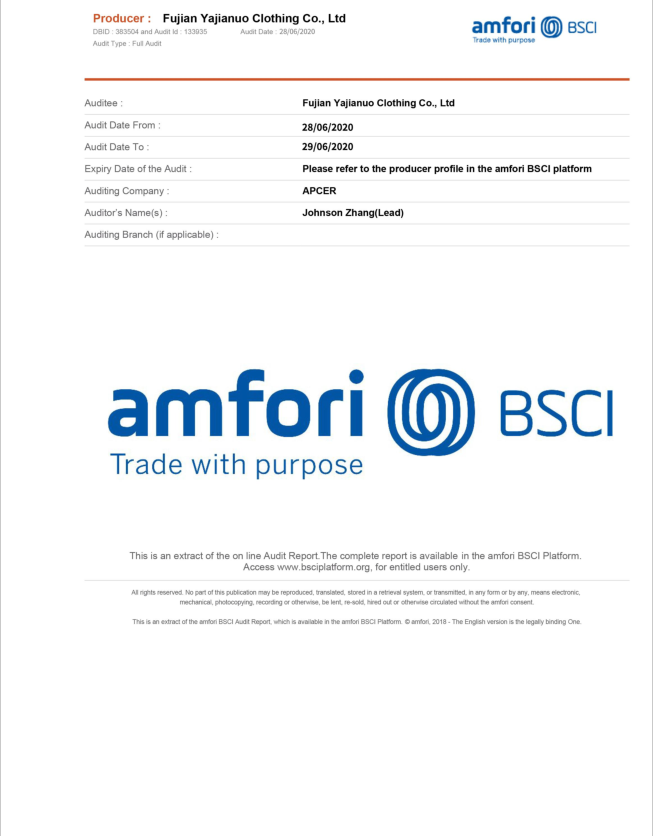 BSCI Audit Document