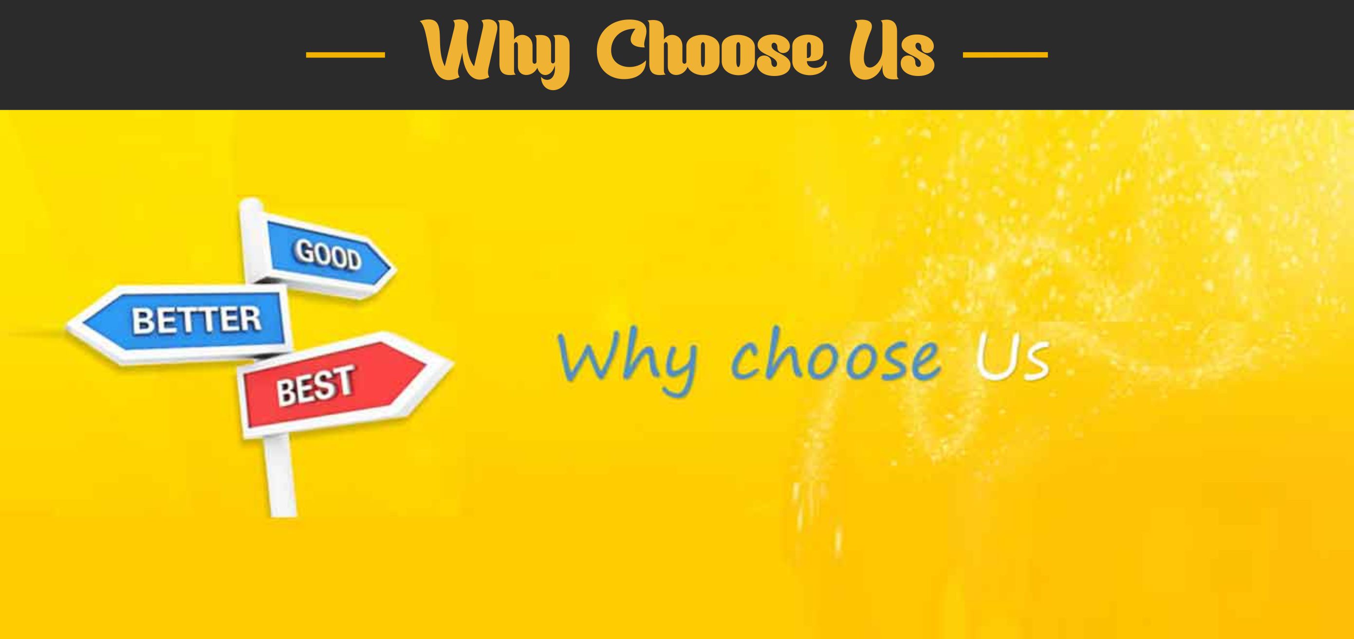 Why Choose Us Advantages