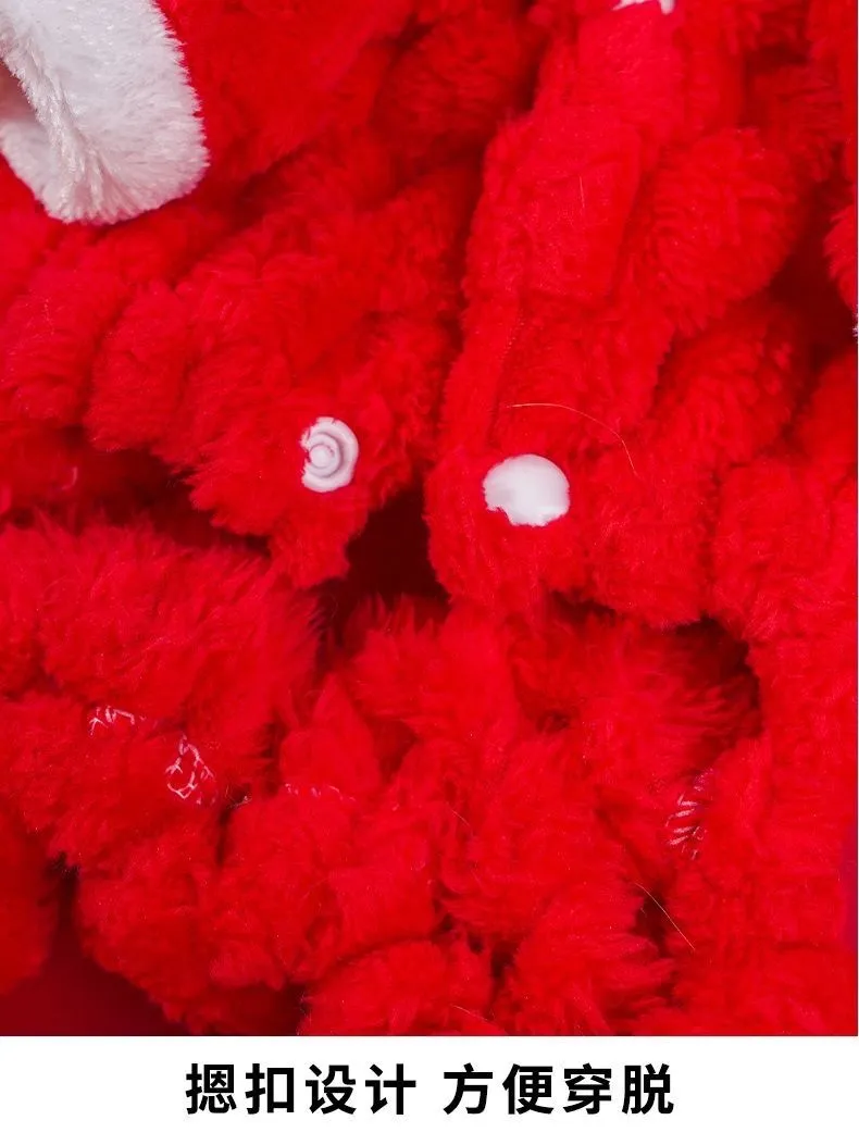 Pet Dragon Costume 1