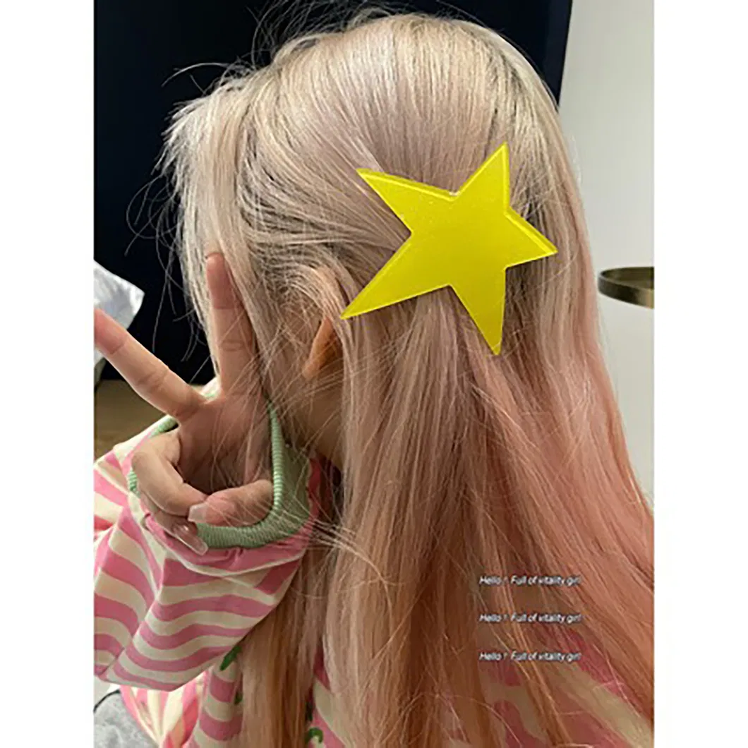 Hair Clip Accessory 6