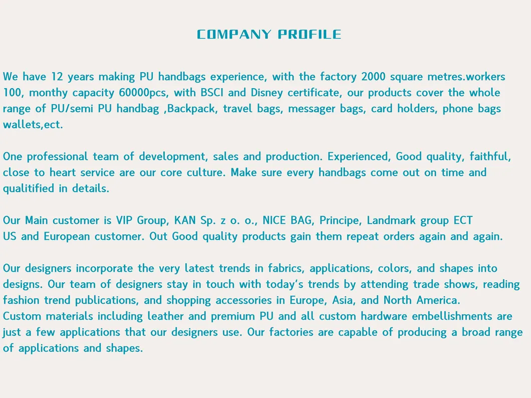 Fashion Bag Display 5