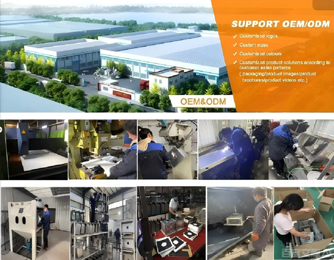 Professional Service