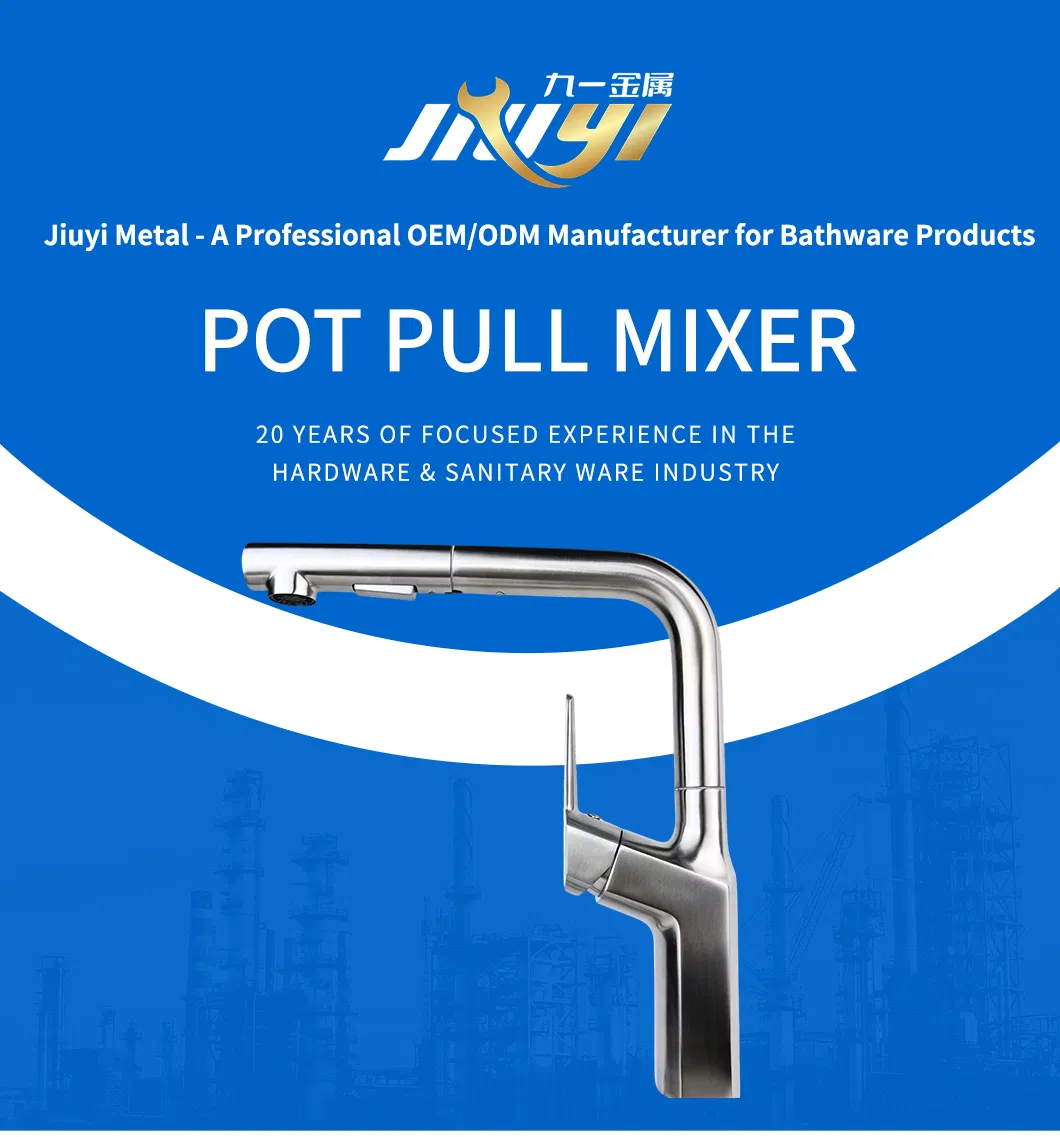 Stainless Steel Pull out Faucet