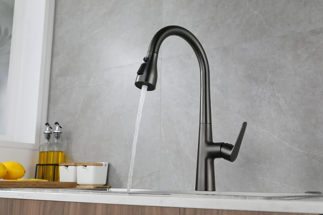 Kitchen Faucet Detail 1