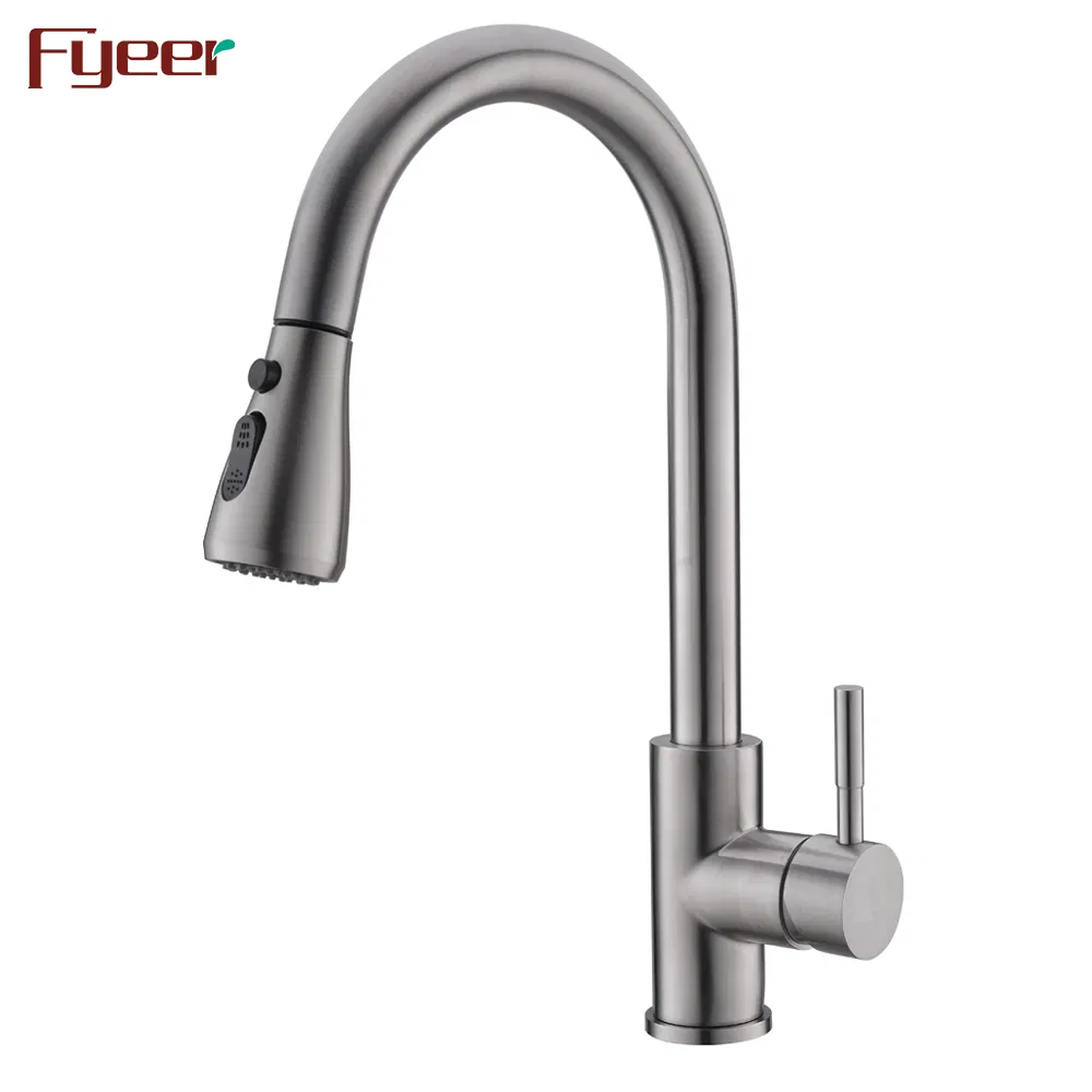 Fyeer 304 Stainless Steel Kitchen Mixer Faucet with Pull Down Spray