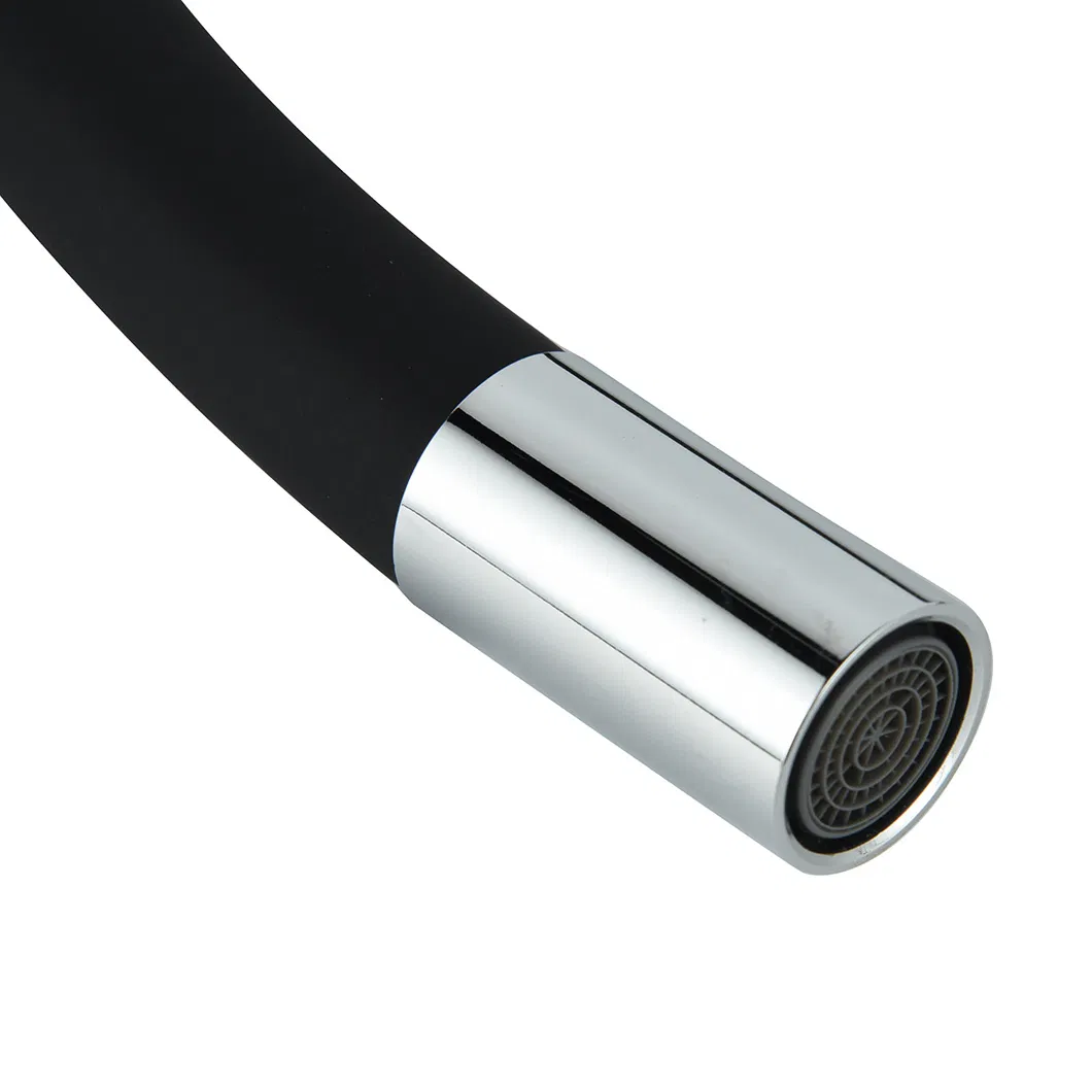 Stainless Steel Faucet