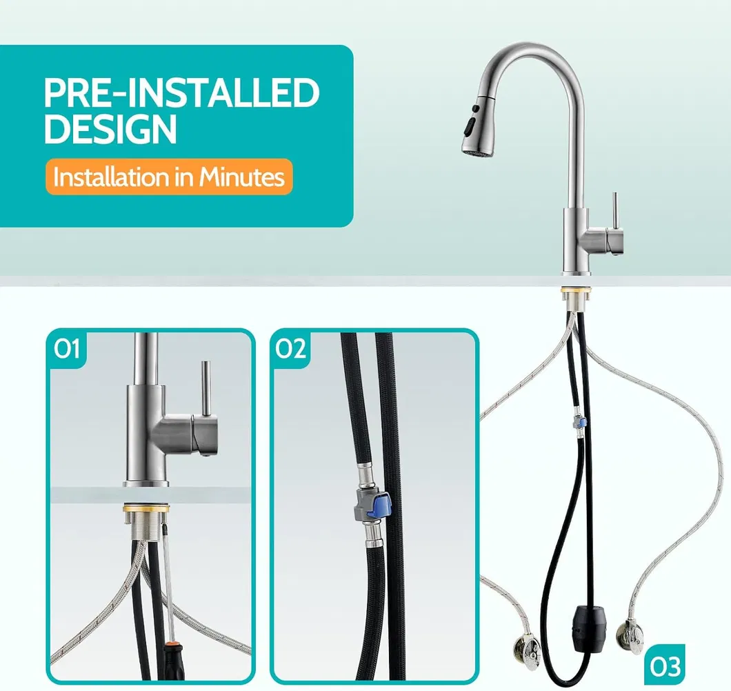 Kitchen Faucet Detail 5