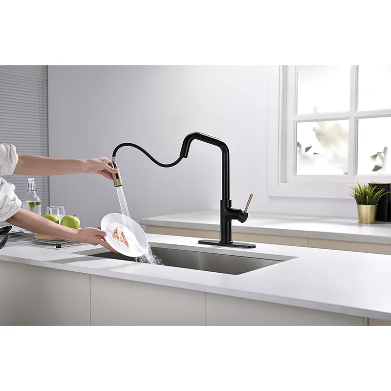 Kitchen Tap Faucet Display 6