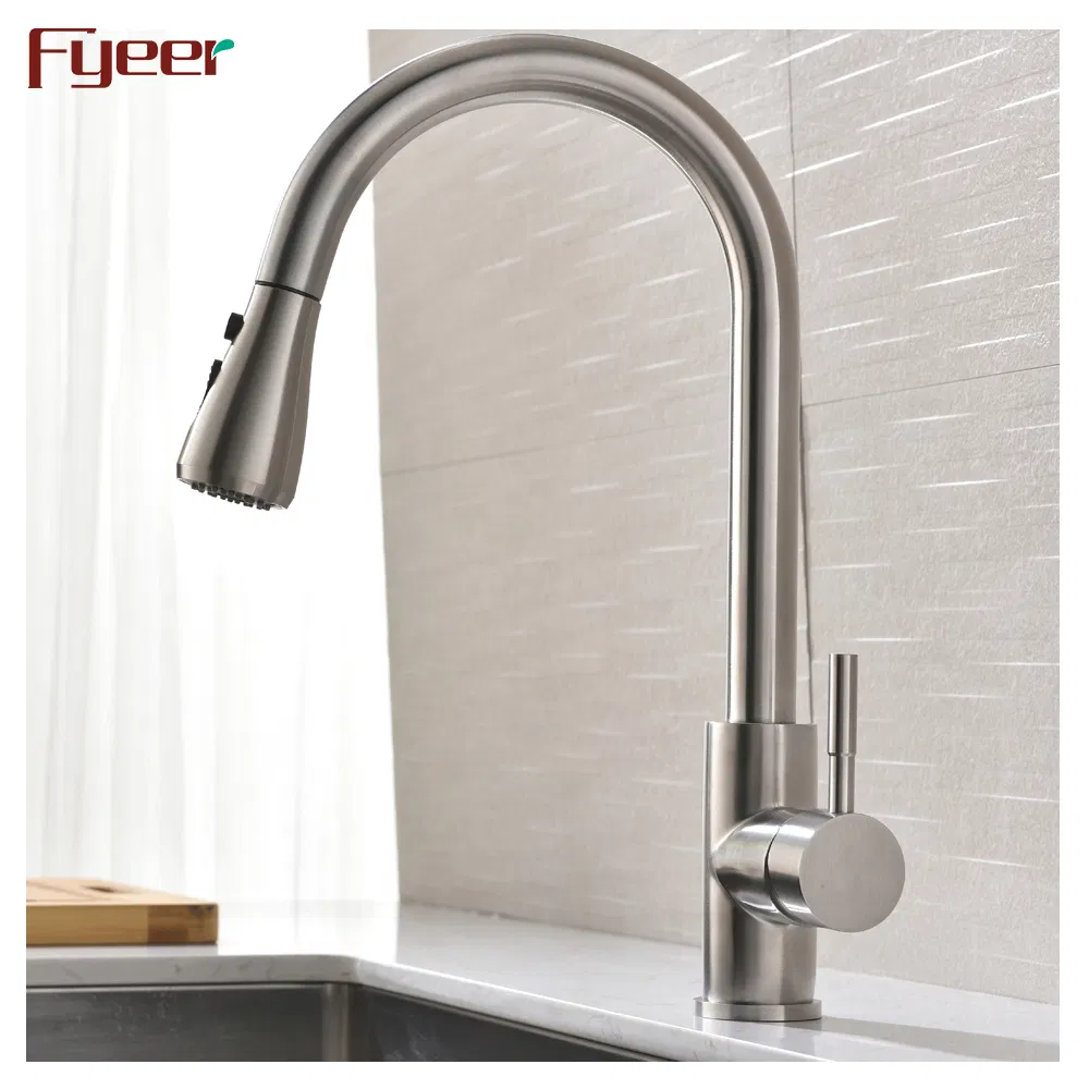 Fyeer 304 Stainless Steel Kitchen Mixer Faucet with Pull Down Spray