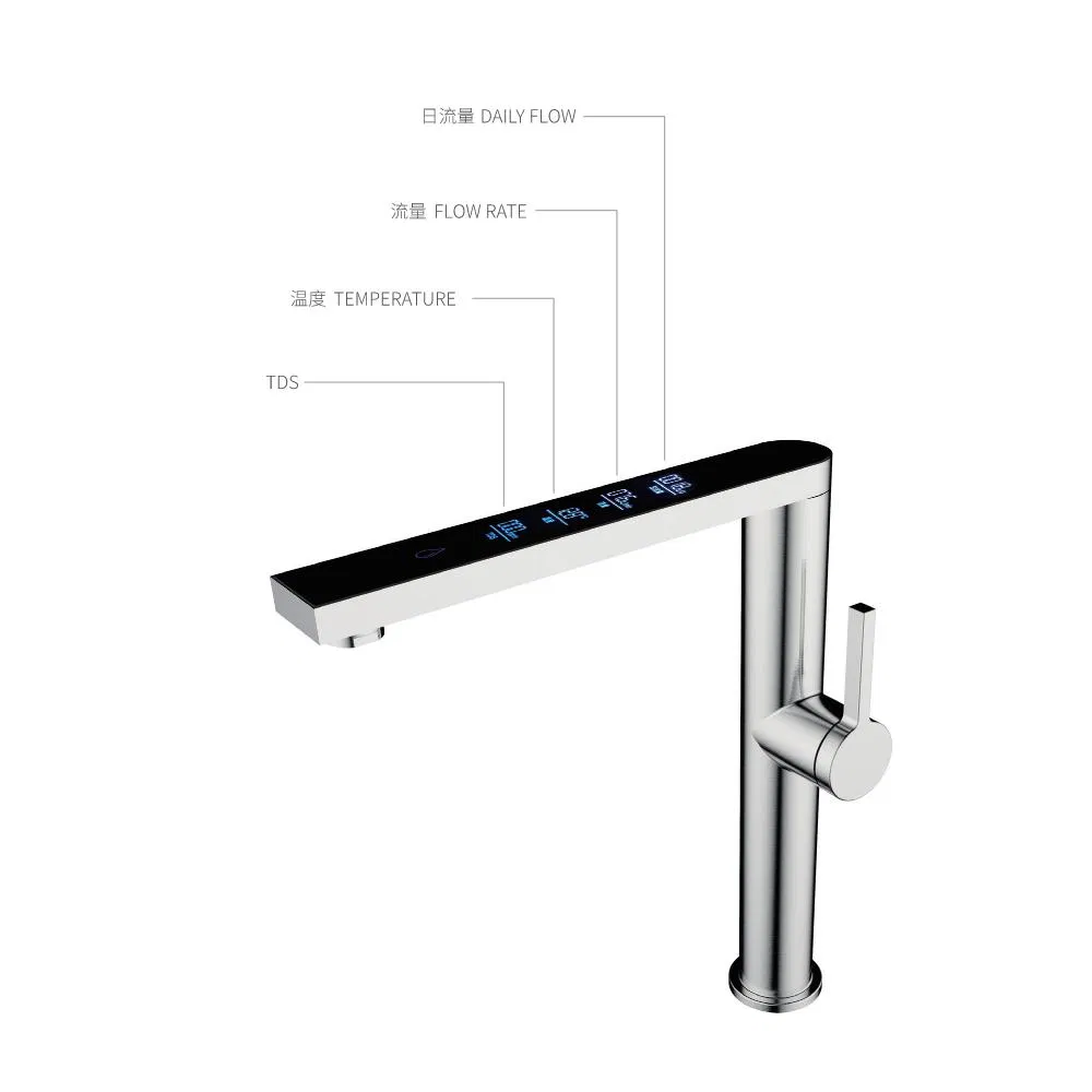 Kitchen Faucet Detail 4