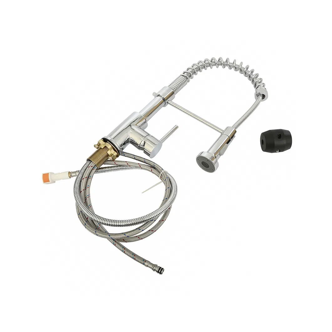 Kitchen Faucet Display