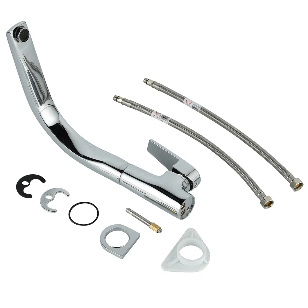 Kitchen Faucet Detail