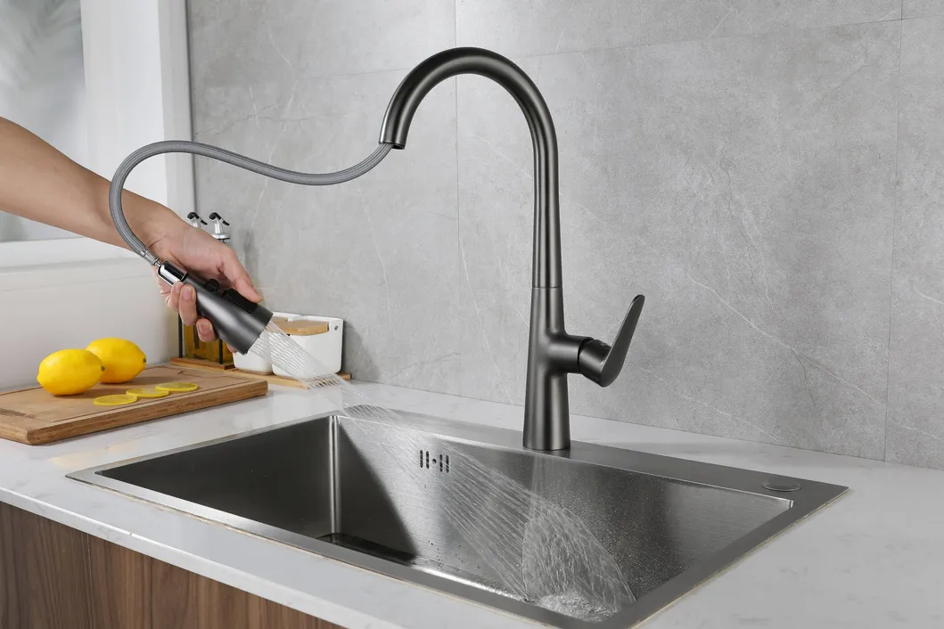 Kitchen Faucet Detail 3