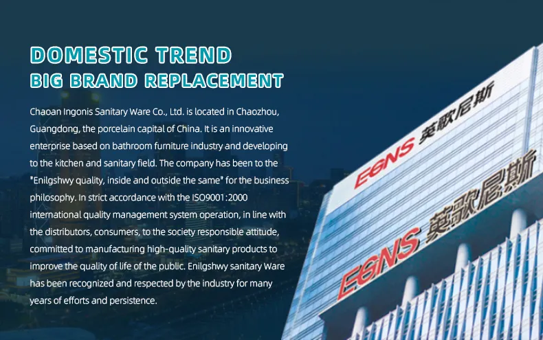 Kitchen Faucet Detail