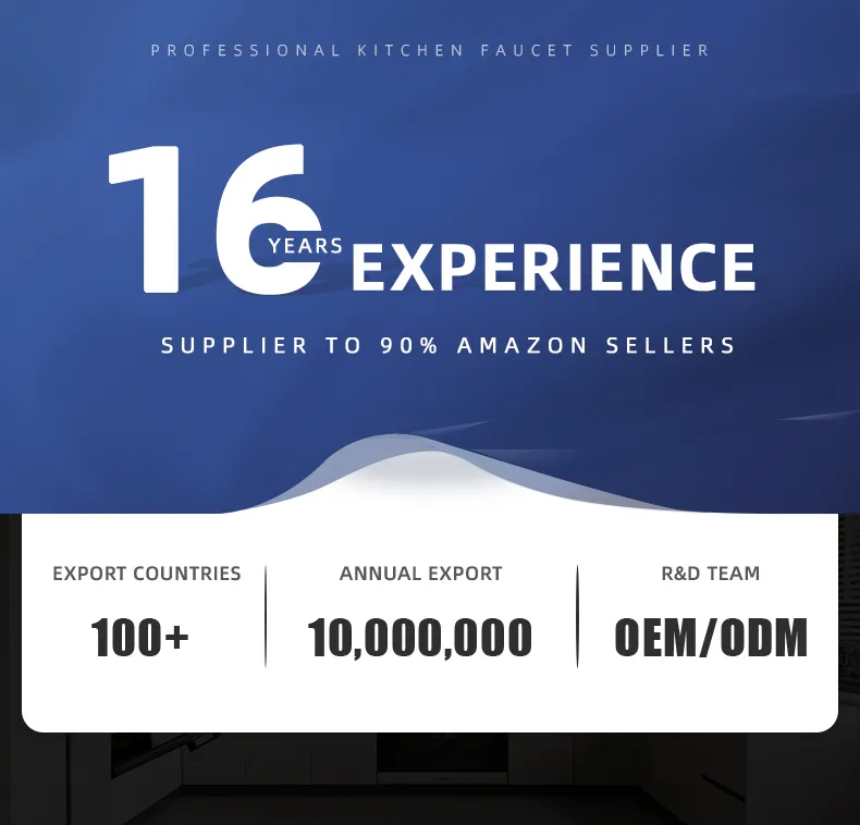 Industrial Stainless Steel Deck Mount Hot Cold Commercial Sink Kitchen Faucet