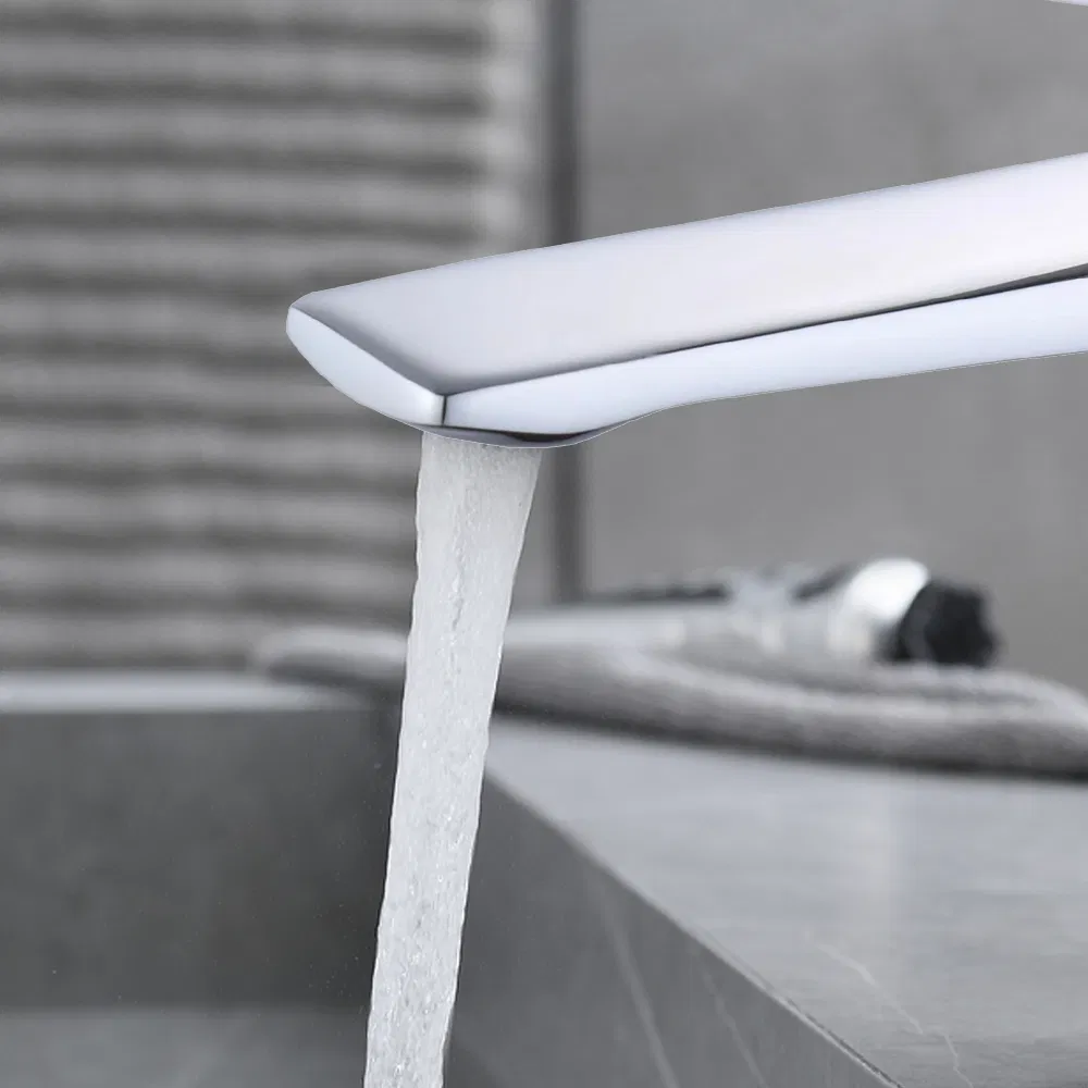 Kitchen Brass Finish Matte Silver Bathroom Basin Faucet Mixer Tap