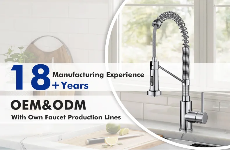 Single Handle Stainless Steel Kitchen Faucet