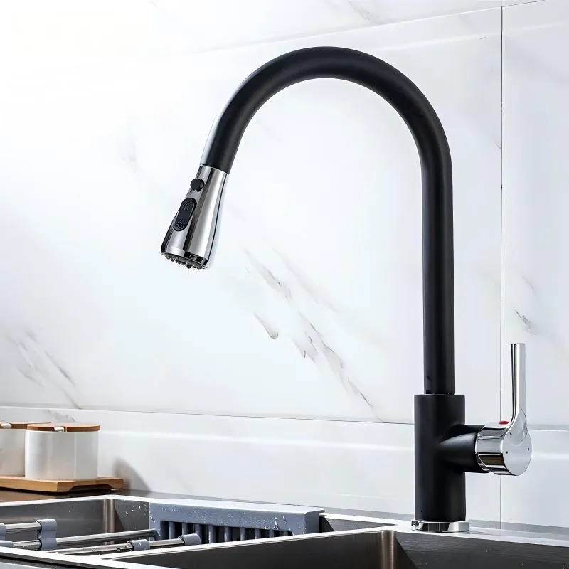 Kitchen Faucet View 1