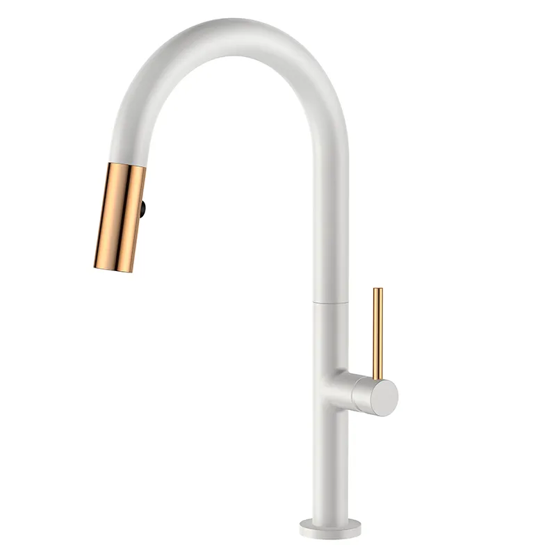 Kitchen Faucet Detail 3