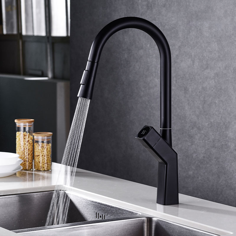 Brass Cold Hot Water2-in-1 Head Pull out Kitchen Faucet with Flexible Spout