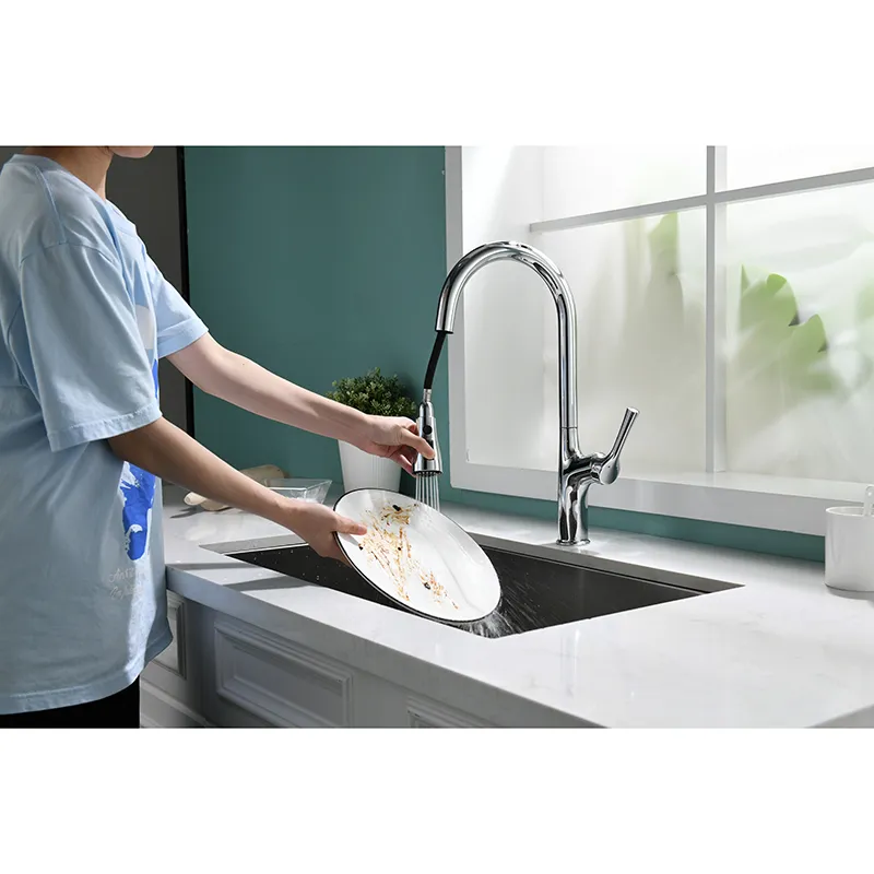 Kitchen Faucet Detail 4