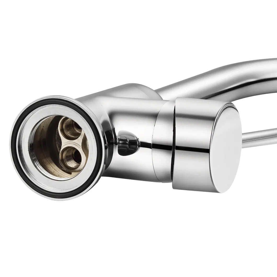 Kitchen Faucet Detail 5