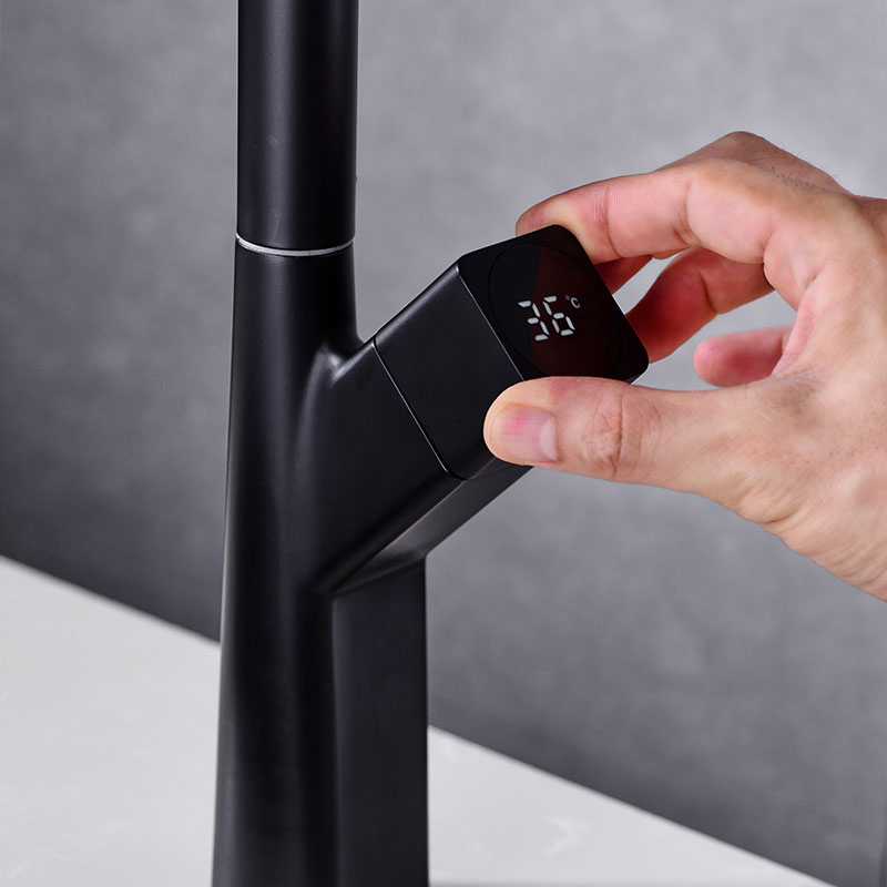 Brass Cold Hot Water2-in-1 Head Pull out Kitchen Faucet with Flexible Spout